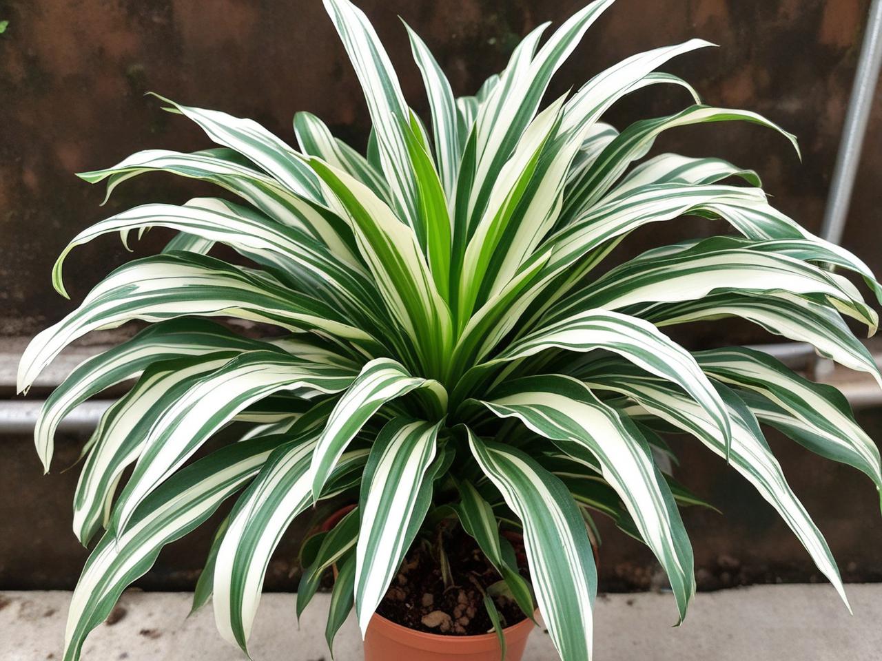 读好的故事有感:于文字间品味别样精彩与深刻触动(图1) 读好的故事有感:于文字间品味别样精彩与深刻触动(图1)